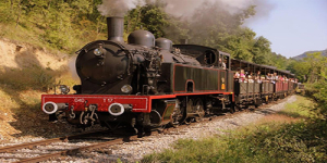 Le Train à Vapeur de Martel : Un Voyage dans le Temps